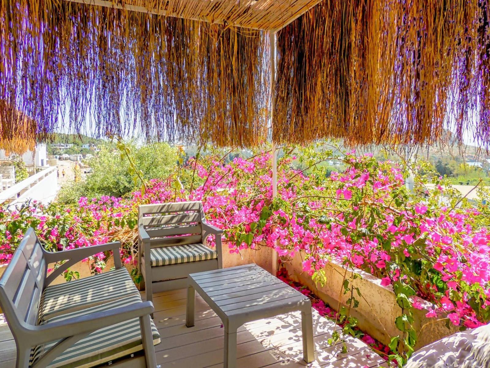גומושלוק Oza Boutique Hotel מראה חיצוני תמונה